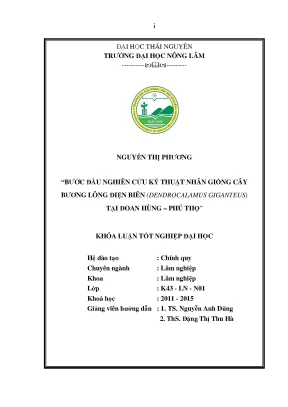 Luận văn bước đầu nghiên cứu kỹ thuật nhân giống cây bương lông điện biên tại đoan hùng phú thọ