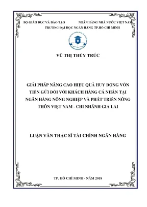 Luận văn giải pháp nâng cao hiệu quả huy động vốn tiền gửi đối với khách hàng cá nhân tại ngân hàng nông nghiệp và phát triển nông thôn việt nam chi nhánh gia lai