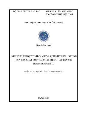 Luận văn nghiên cứu hoạt tính cảm ứng sự hình thành xương của dẫn xuất polysaccharide từ hạt cây me tamarindus indica l