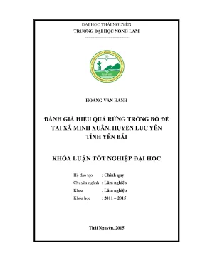 Luận văn đánh giá hiệu quả rừng trồng bồ đề tại xã minh xuân huyện lục yên tỉnh yên bái