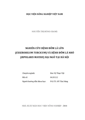 Luận văn nghiên cứu bệnh đốm lá lớn exserohilum turcicum và bệnh đốm lá nhỏ bipolaris maydis hại ngô tại hà nội