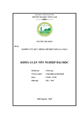 Luận văn nghiên cứu quy trình chế biến giò lụa chay