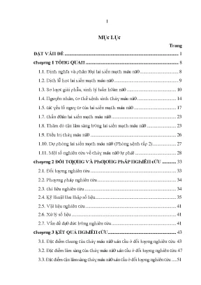 Luận văn đặc điểm lâm sàng cận lâm sàng và một số yếu tố tiên lượng của chảy máu não bán cầu tại bệnh viện đa khoa trung ương thái nguyên