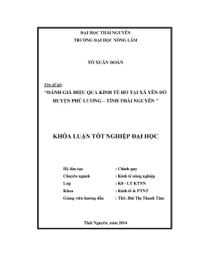 Luận văn đánh giá hiệu quả kinh tế hộ tại xã yên đổ huyện phú lương tỉnh thái nguyên