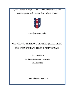 Luận văn thạc sĩ các nhân tố ảnh hưởng đến hoạt động tài chính của các ngân hàng thương mại ở việt nam