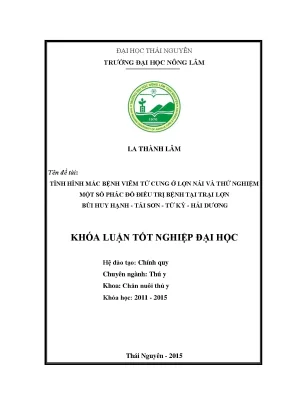 Luận văn tình hình mắc bệnh viêm tử cung ở lợn nái và thử nghiệm một số phác đồ điều trị bệnh tại trại lợn bùi huy hạnh xã tái sơn huyện tứ kỳ tỉnh hải dương
