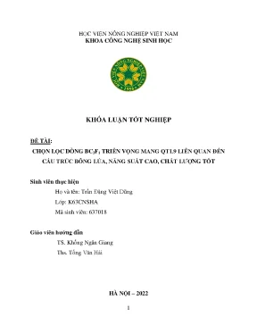 Chọn lọc dòng bc3f1 triển vọng mang qtl9 liên quan đến cấu trúc bông lúa năng suất cao chất lượng tốt