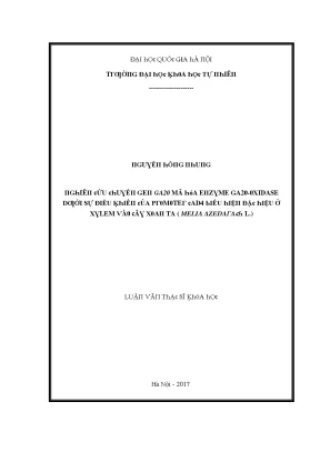Nghiên cứu chuyển gen ga20 mã hóa enzyme ga20 oxidase dưới sự điều khiển của promoter cad4 biểu hiện đặc hiệu ở xylem vào cây xoan ta melia azedarach l