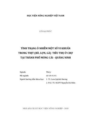 Luận văn tình trạng ô nhiễm một số vi khuẩn trong thịt bò lợn gà tiêu thụ ở chợ tại thành phố móng cái quảng ninh