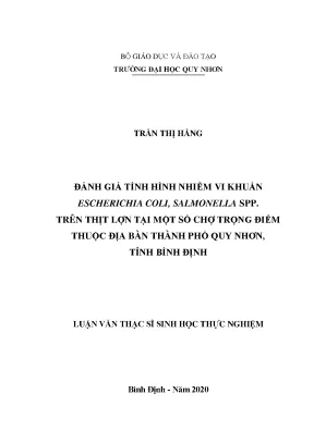 Luận văn đánh giá tình hình nhiễm vi khuẩn escherichia coli salmonella spp trên thịt lợn tại một số chợ trọng điểm thuộc địa bàn thành phố quy nhơn tỉnh bình định