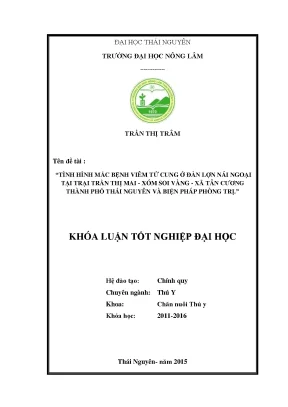 Luận văn tình hình mắc bệnh viêm tử cung ở đàn lợn nái ngoại tại trại trần thị mai xóm soi vàng xã tân cương thành phố thái nguyên và biện pháp phòng trị