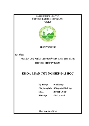 Luận văn nghiên cứu nhân giống cây ba kích tím bằng phương pháp in vitro
