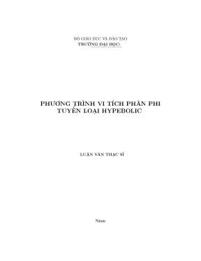 Phương trình vi tích phân phi tuyến loại hypebolic