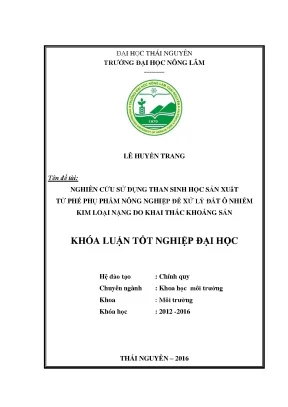 Luận văn nghiên cứu sử dụng than sinh học sản xuất từ phế phụ phẩm nông nghiệp để xử lý đất ô nhiễm kim loại nặng do khai thác khoáng sản