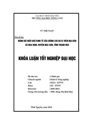 Luận văn đánh giá hiệu quả kinh tế của giống lúa bc15 trên địa bàn xã nga vịnh huyện nga sơn tỉnh thanh hóa