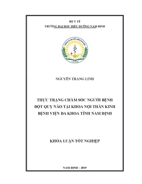 Luận văn thực trạng chăm sóc người bệnh đột quỵ não tại khoa nội thần kinh bệnh viện đa khoa tỉnh nam định