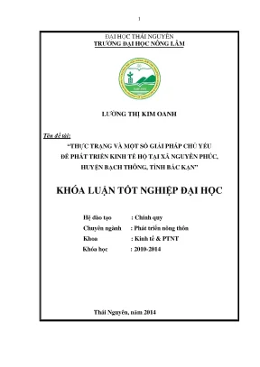 Luận văn thực trạng và một số giải pháp chủ yếu phát triển kinh tế hộ tại xã nguyên phúc huyện bạch thông tỉnh bắc kạn