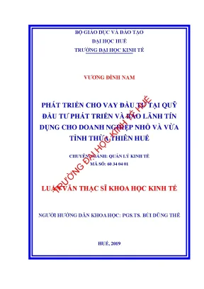 Luận văn phát triển cho vay đầu tư tại quỹ đầu tư phát triển và bảo lãnh tín dụng cho doanh nghiệp nhỏ và vừa tỉnh thừa thiên huế