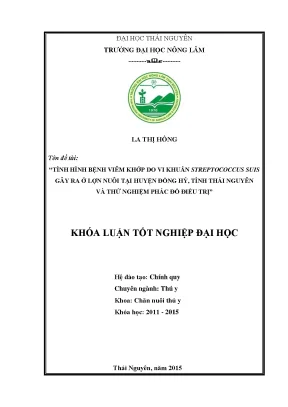 Luận văn tình hình bệnh viêm khớp do vi khuẩn streptococcus suis gây ra ở lợn nuôi tại huyện đồng hỷ tỉnh thái nguyên và thử nghiệm phác đồ điều trị