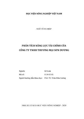Phân tích năng lực tài chính của công ty trách nhiệm hữu hạn thương mại sơn dương