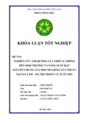 Nghiên cứu ảnh hưởng của thời vụ trồng đến sinh trưởng và năng suất hạt nguyên chủng của một số giống lúa thuần tại gia lâm hà nội trong vụ xuân 2021