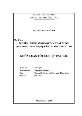 Luận văn nghiên cứu nhân giống tam thất gừng stahlianthus thorelii gagnep bằng nuôi cấy in vitro