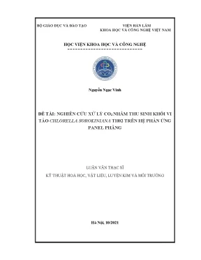 Luận văn nghiên cứu xử lý co2 nhằm thu sinh khối vi tảo chlorella sorokiniana th02 trên hệ phản ứng panel phẳng