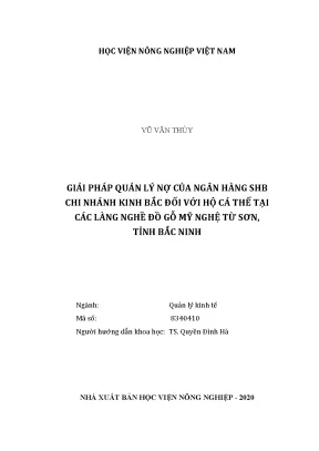 Giải pháp quản lý nợ của ngân hàng shb chi nhánh kinh bắc đối với hộ cá thể tại các làng nghề đồ gỗ mỹ nghệ từ sơn tỉnh bắc ninh