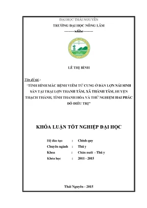 Luận văn tình hình mắc bệnh viêm tử cung ở đàn lợn nái sinh sản nuôi tại trại lợn thanh tâm xã thành tâm huyện thạch thành tỉnh thanh hóa và thử nghiệm hai phác đồ điều trị