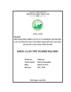 Luận văn biện pháp phát triển sản xuất và mở rộng thị trường các sản phẩm từ quả táo mèo tại địa bàn xã lao chải huyện mù cang chải tỉnh yên bái