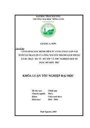Luận văn tình hình mắc bệnh viêm tử cung ở đàn lợn nái nuôi tại trại lợn của ông nguyễn thanh lịch thuộc xã ba trại huyện ba vì hà nội và thử nghiệm một số phác đồ điều trị