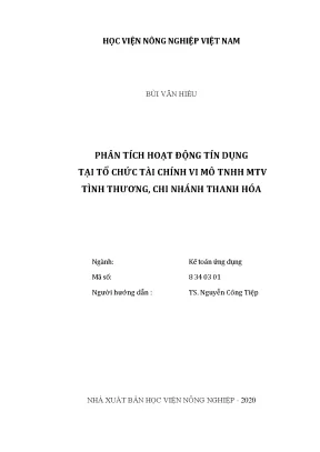 Phân tích hoạt động tín dụng tại tổ chức tài chính vi mô trách nhiệm hữu hạn một thành viên tình thương chi nhánh thanh hóa