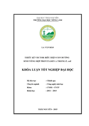 Luận văn thiết kế vector biểu hiện con đường sinh tổng hợp provitamin a trong e coli