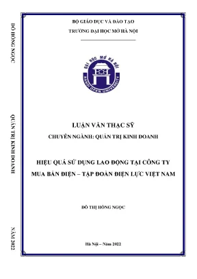 Hiệu quả sử dụng lao động tại công ty mua bán điện tập đoàn điện lực việt nam