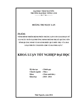 Luận văn tình hình mắc bệnh viêm tử cung ở đàn lợn nái sinh sản tại huyện tam nông t ỉnh phú thọ và thử nghiệm hai phác đồ điều trị bệnh