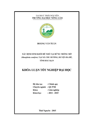 Luận văn xác định sinh khối rễ nhỏ tại rừng trồng mỡ manglietia conifera tại xã chu hương huyện ba bể tỉnh bắc kạn