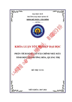 Luận văn phân tích báo cáo tài chính nhà máy tinh bột sắn hướng hóa quảng trị