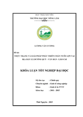 Luận văn thực trạng và giải pháp phát triển sản xuất kinh doanh chăn nuôi lợn tại địa bàn xã dương quỳ huyện văn bàn tỉnh lào cai