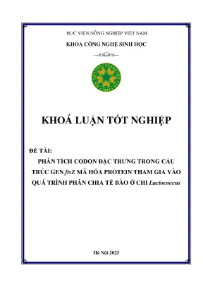 Phân tích codon đặc trưng trong cấu trúc gen ftsz mã hóa protein tham gia vào quá trình phân chia tế bào ở chi lactococcus