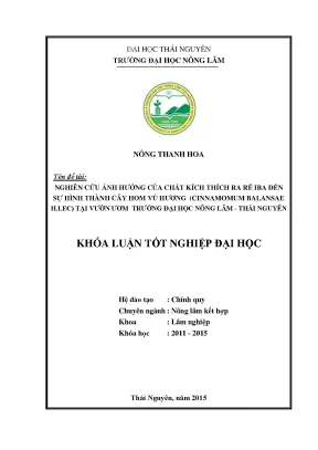 Luận văn nghiên cứu ảnh hưởng của chất kích thích ra rễ iba đến sự hình thành cây hom vù hương cinnmamomun balansae h lec tại vườn ươm