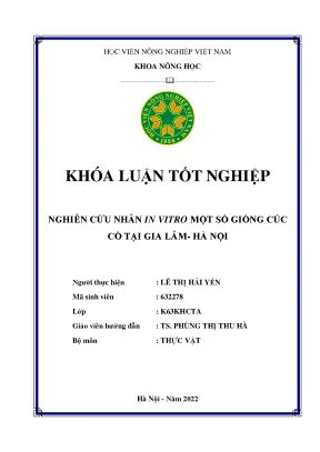 Nghiên cứu nhân in vitro một số giống cúc cổ tại gia lâm hà nội