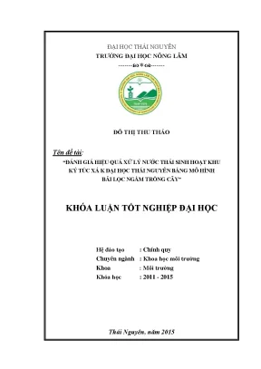 Luận văn đánh giá hiệu quả của mô hình bãi lọc ngầm trồng cây trong xử lý nước thải sinh hoạt tại khu ký túc xá k đại học thái nguyên