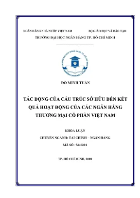 Luận văn tác động của cấu trúc sở hữu đến kết quả hoạt động của các ngân hàng thương mại cổ phần việt nam