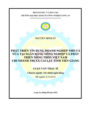 Luận văn phát triển dịch vụ thẻ thanh toán tại ngân hàng thương mại cổ phần công thương việt nam chi nhánh bến lức tỉnh long an