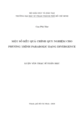 Luận văn một số kết quả chính quy nghiệm cho phương trình parabolic dạng divergence