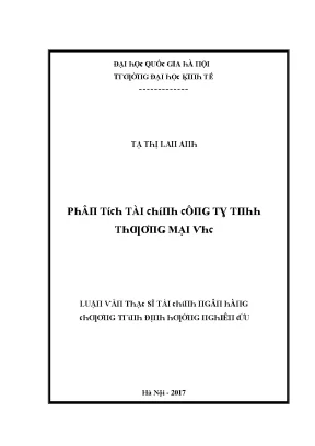 Luận văn phân tích tài chính công ty tnhh thương mại vhc