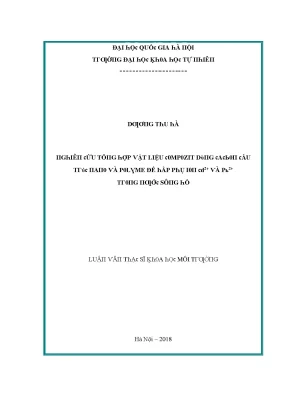 Luận văn thạc sĩ nghiên cứu tổng hợp vật liệu compozit dùng cacbon cấu trúc nano và polyme để hấp phụ ion cd2 và pb2 trong nước sông hồ vnu lvts08w