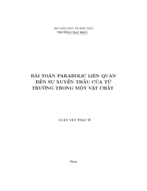 Bài toán parabolic liên quan đến sự xuyến thấu của từ trường trong một vật chất