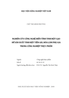 Luận văn nghiên cứu công nghệ biến tính tinh bột gạo để sản xuất tinh bột tiền gel hóa làm phụ gia trong công nghiệp thực phẩm