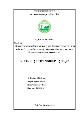 Luận văn tình hình bệnh viêm khớp do vi khuẩn streptococcus suis gây ra ở lợn nuôi tại huyện võ nhai tỉnh thái nguyên và thử nghiệm phác đồ điều trị